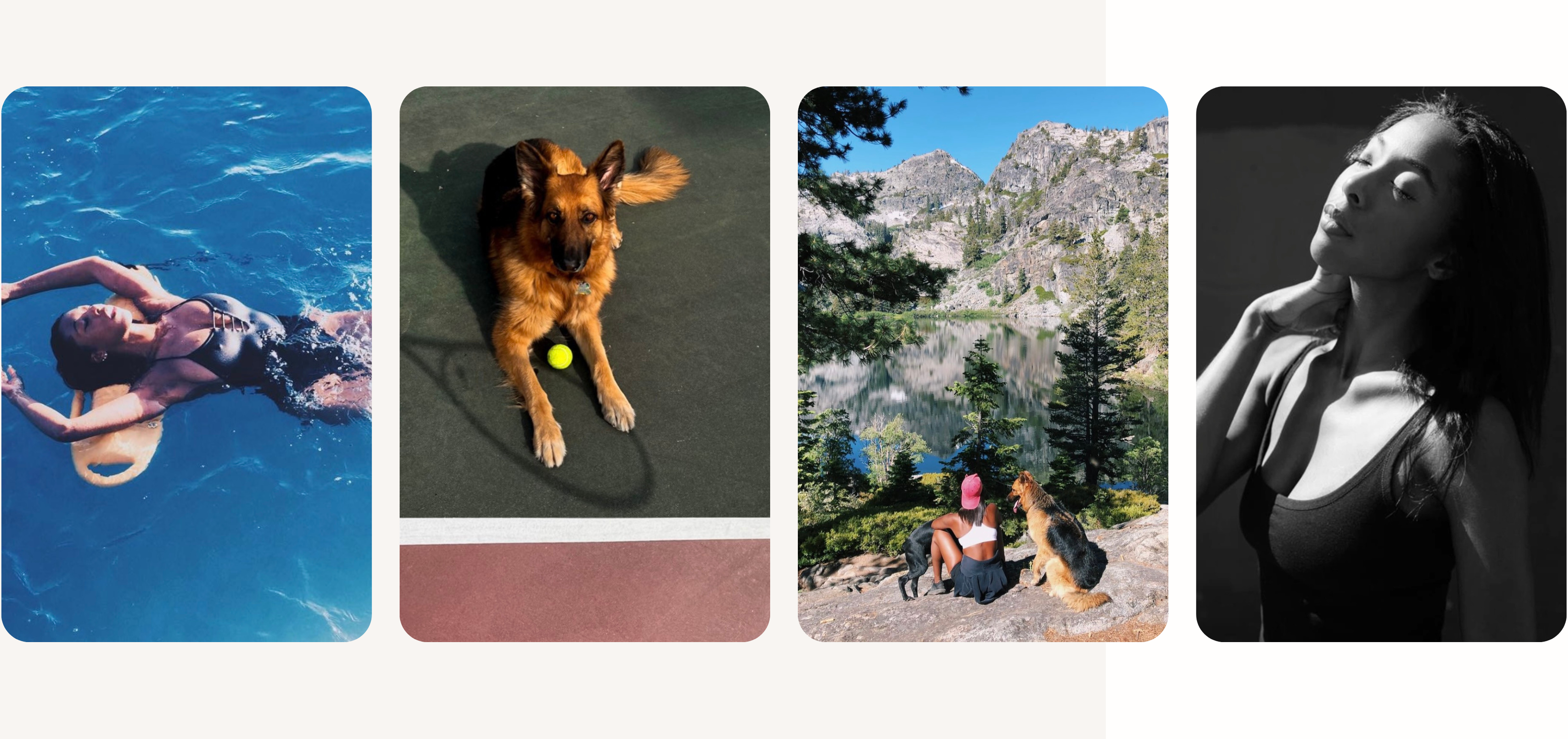 Dana Tonnone's Media Kit